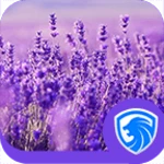 lavender android application logo